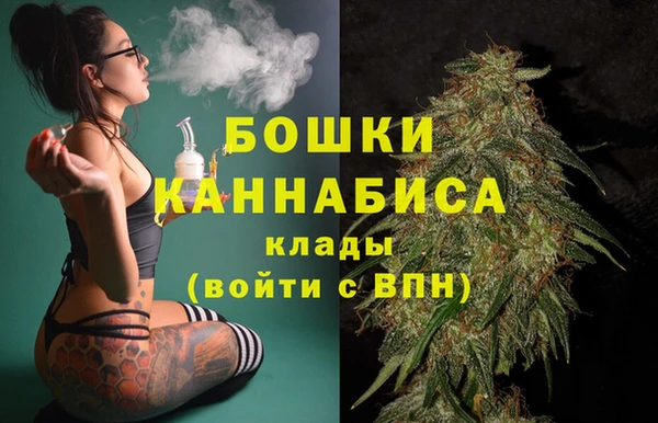 spice Арсеньев
